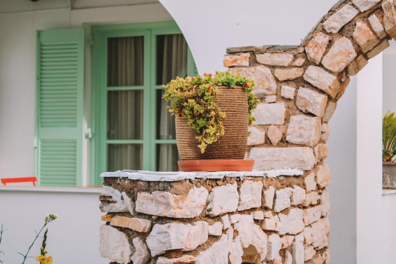 Apartament Orion